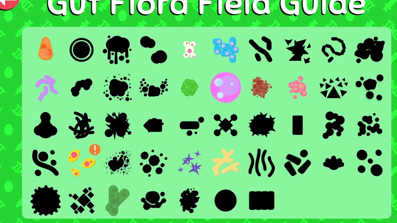 I havn't checked on my dogs in a while