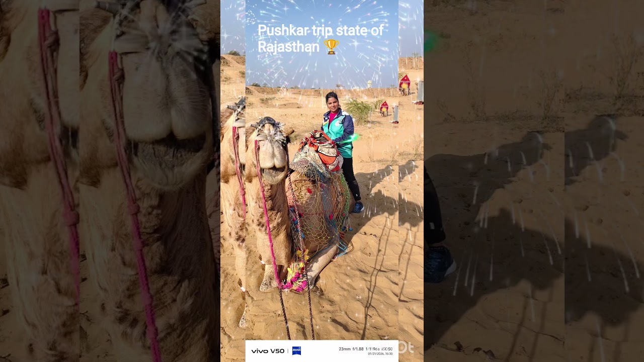 69 th sgfi national level competition after pushkar trip along with students..at Rajasthan