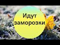 В Украине ударят заморозки: синоптики предупредили о похолодании и озвучили детальный прогноз