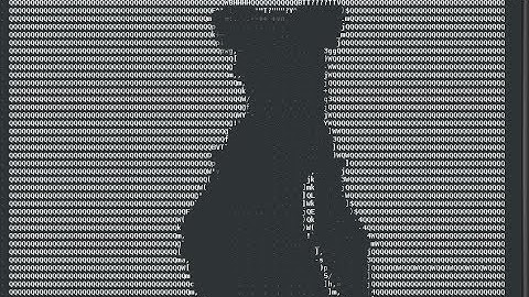 Bad Apple in linux terminal (aalib + mplayer)