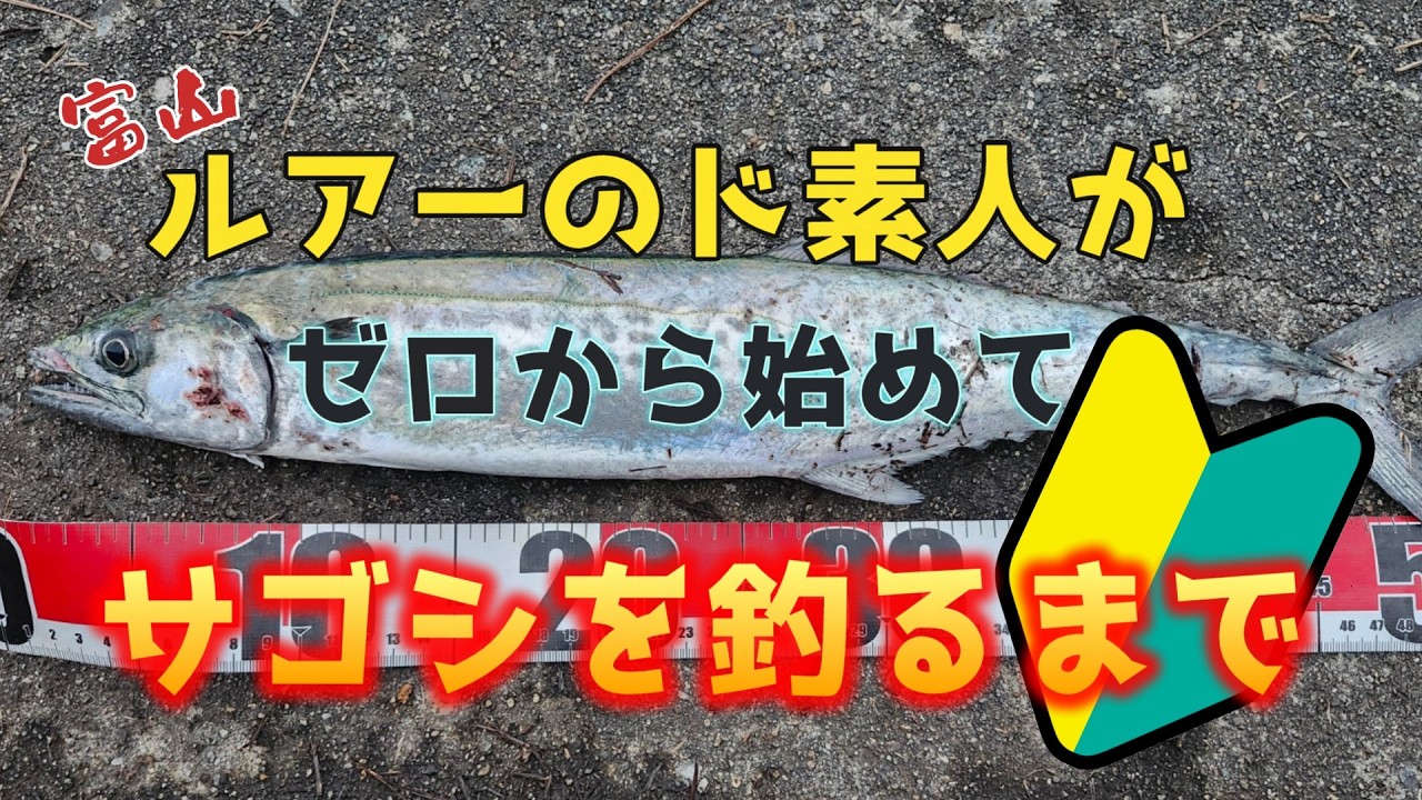 準備からサゴシを釣るまで　～ルアーはド素人です～