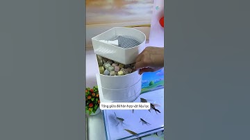 Bộ lọc 3 tầng đặt vừa vặn góc bể cá nhỏ gọn nhưng hiệu quả lọc cực tốt #aquatic #shorts