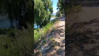 conociendo Chile , el monte