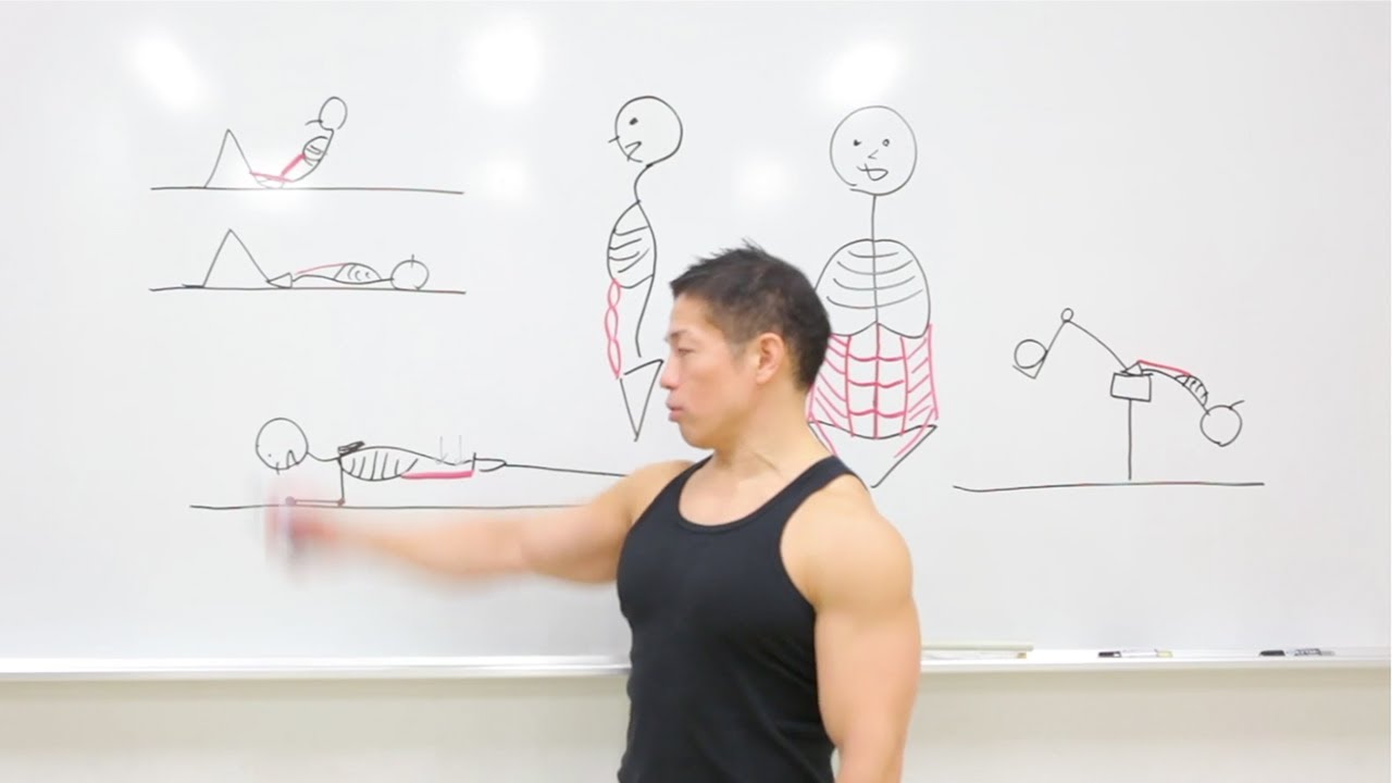 Брюшная мышца Шесть пакетов Сужение Сокращаться, сжиматься Тренировка мышц