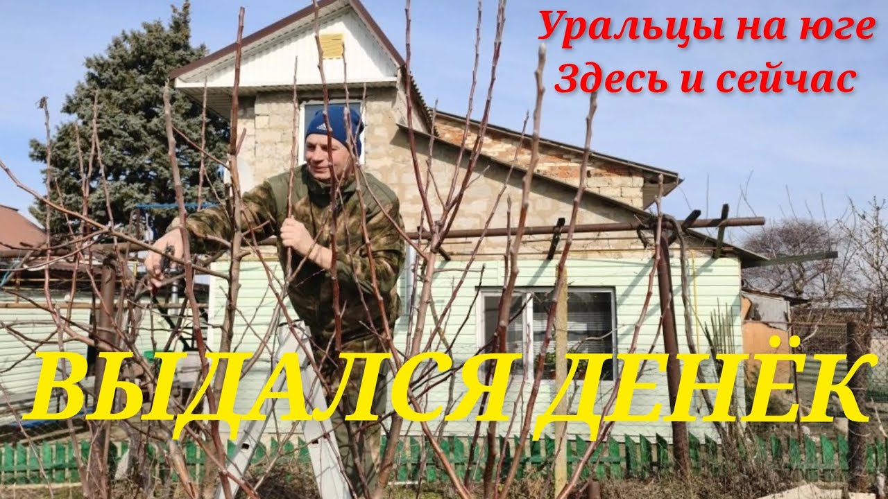 Вчера не сегодня. Обрезка деревьев. Славный денёчек.