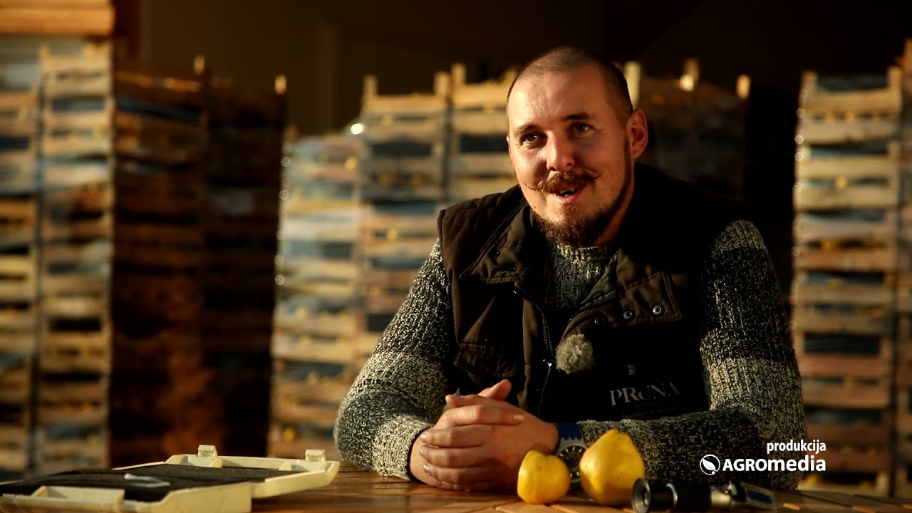 Rakija Pruna: Šljivovica iz vinske buradi!