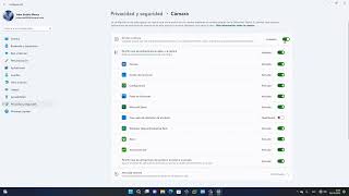Como dar permisos a las aplicaciones en Windows 11, cámara micrófono ECT.