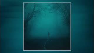 Øneheart, reidenshi - snowfall (Sped Up) ( 1 Hour)