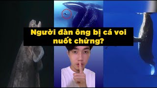 Đại dương và những bí ẩn kỳ quái | Sự thật lạ lùng mà bạn chưa bao giờ biết (P51-P60)