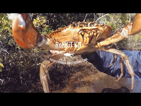 Mud Crabs from the Stand Up Paddle Board