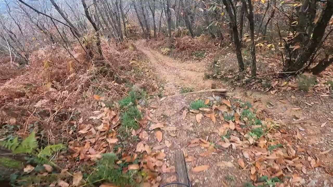 Mec Leod - Monte serra MTB