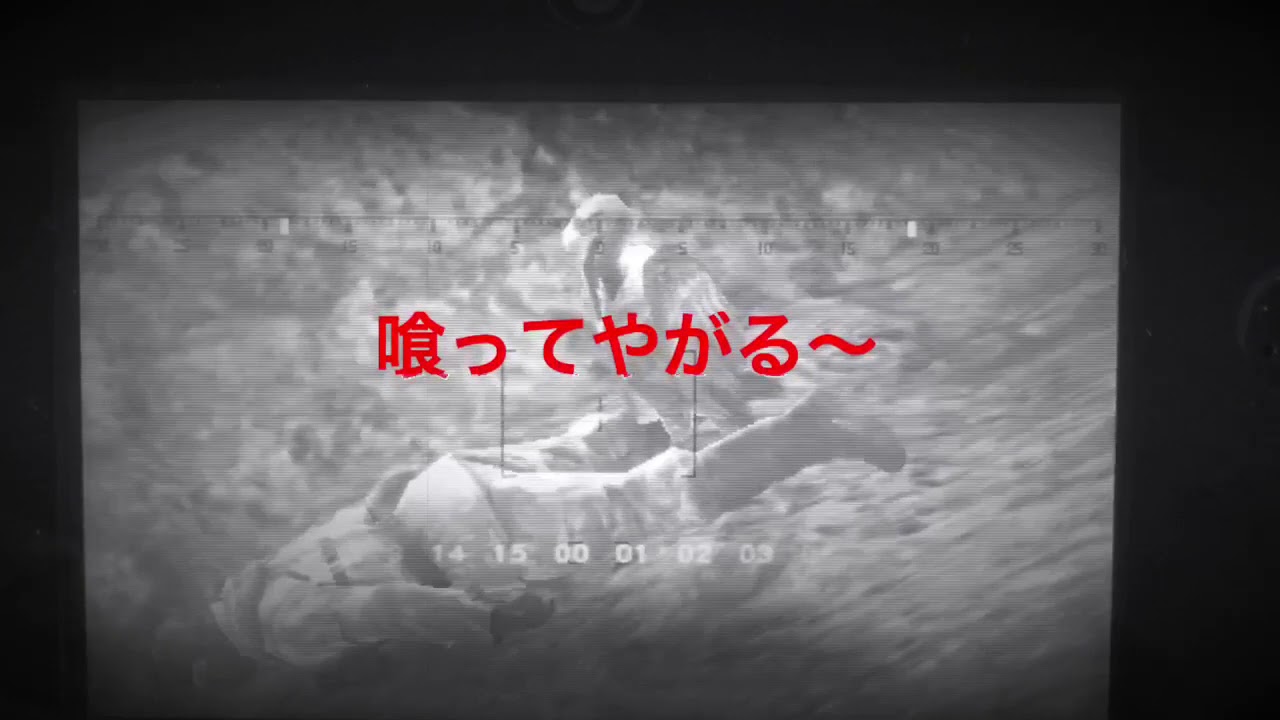 Mgs Se 3d ネタ無線 ベンガルハゲワシ Youtube