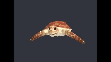 3D Model of turtle - file Sea Turtle.obj