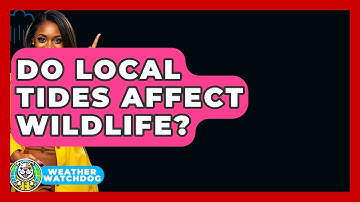 Do Local Tides Affect Wildlife? - Weather Watchdog