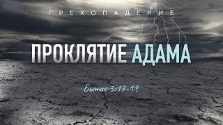 картинка: Бытие: 23. Проклятие Адама (Алексей Коломийцев)