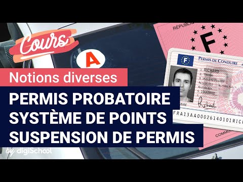 Vidéo: Combien de points un jeune de 18 ans peut-il avoir en Géorgie ?