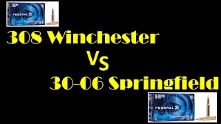 308 Winchester vs 3006 Springfield [Which is Better?]