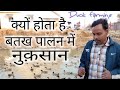 Loss,😭 Duck  Farming  //बत्तख पालन में नए किसानों को क्यों होता है भारी नुकसान//#DuckFarm