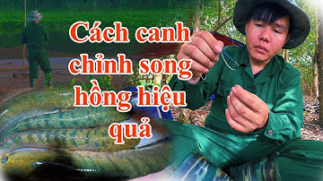 Câu cá ngày mưa bão và chia sẻ cách canh chỉnh song hồng cho lưỡi câu hiệu quả