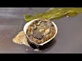 Black abalone teppan course | teppanyaki in Japan