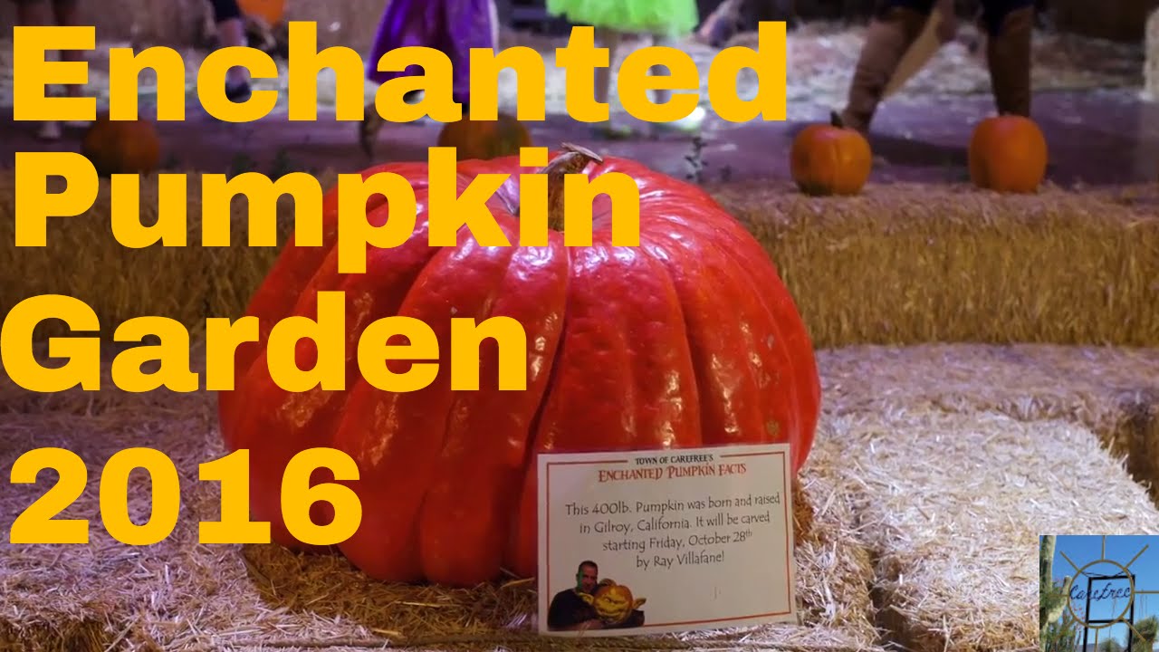 Enchanted Pumpkin Garden 2016