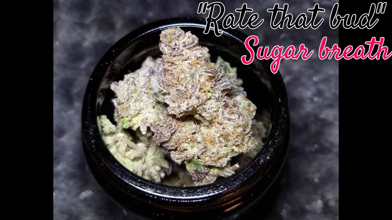 "Rate that bud" SUGAR BREATH H.S.O  
