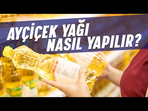 Video: Ekonomik Güvenlik Fakültesi'ne başvurmalı mıyım?