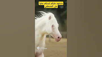 صلى الله على محمد بصوت نور الدين خورشيد اكسبلور 