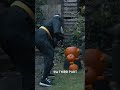 the THIRD INSTALMENT 🐝👑🎃
