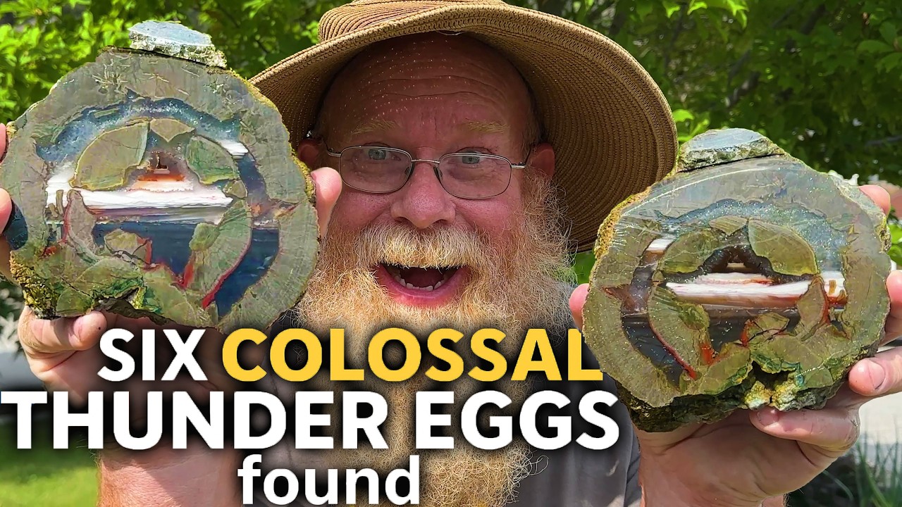 Мы выкопали шесть КОЛОССАЛЬНЫХ громовых яиц!