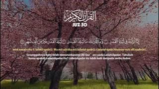 Murotal Al Quran Juz 30, Menenangkan Pikiran, Hafalan Juz Amma Mudah - ALAA AQEL