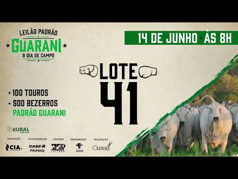 LOTE 41   P 3162