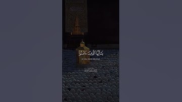 سوره الاحزاب|الشيخ ياسر الدوسري #القرآن_الكريم #القران_الكريم #القرآن #ياسر_الدوسري #راحه_نفسيه