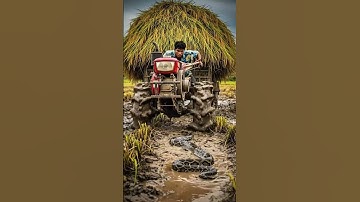 Wow tractor farmer vs big python #shortsfeed #ricefieldtractor #viralvideo #shortsfeed #tractor