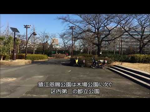 UR賃貸　木場公園平野三丁目ハイツ　芝生が気持ち良い下町の大公園