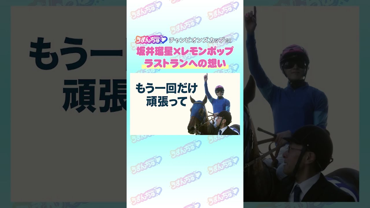 チャンピオンズカップGⅠ トレセン直撃取材！ #競馬