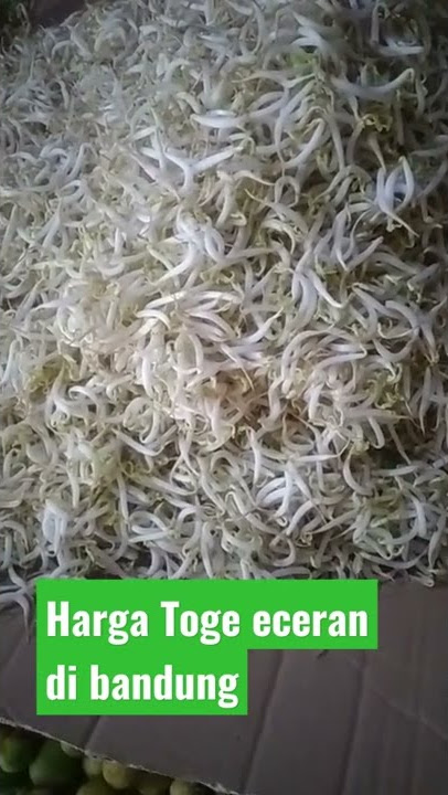 Harga toge eceran hari ini 04/07/2022 di bandung@Asep ahmadsyah bandung raya#shorts #jualan #sayur