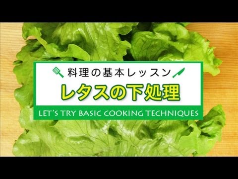 レタスの下処理 Youtube