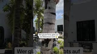 Malediven Beach Club Tipp