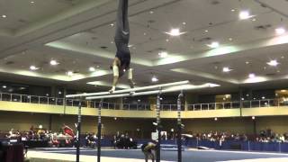 Jordan Valdez - Parallel Bars - 2015 Winter Cup Prelims