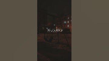 تلاوة خاشعة جميلة بصوت ماهر المعيقلي ارح سمعك #ماهر_المعيقلي #quran