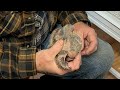 First Time Banding Baby Pigeons 🐣🕊️🕊️