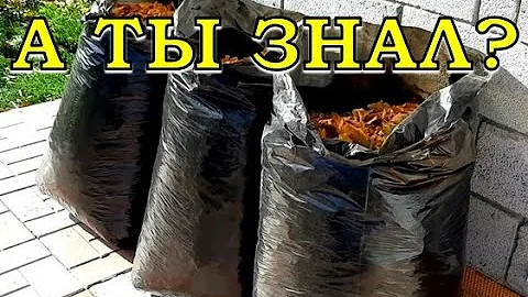 ОПАВШИЕ ЛИСТЬЯ.. Убирать или нет?  5 способов как утилизировать опад🌿🍁🍂