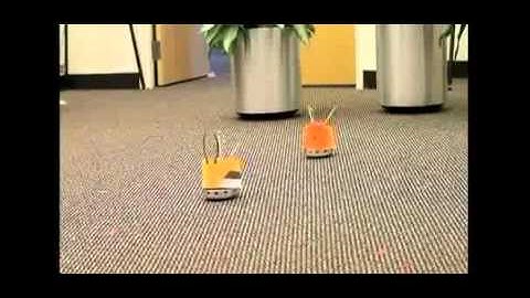 Robot swarms seen as guardians against future threats