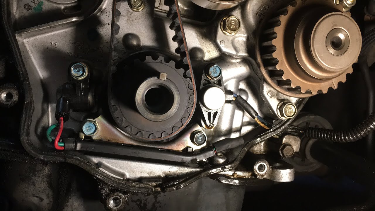 Does A 2002 Honda Accord Have A Timing Belt - Belt Poster