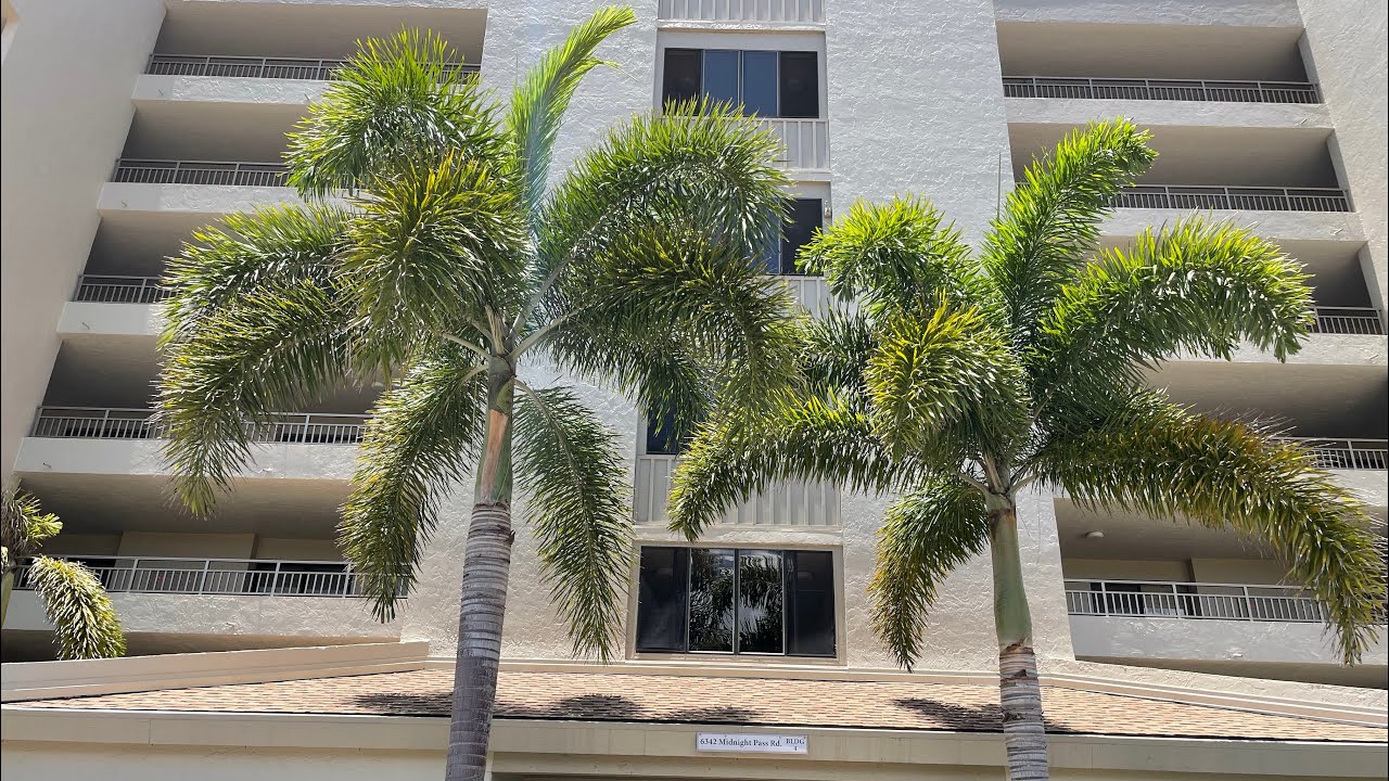 Foxtail Palm - Wodyetia bifurcata