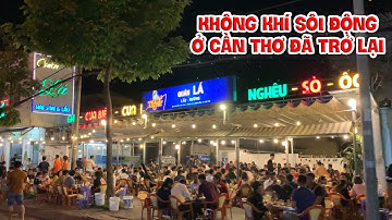 Toàn Cảnh Không Khí Sôi Động Ở Cần Thơ Khi Về Đêm| Du Hí Cần Thơ