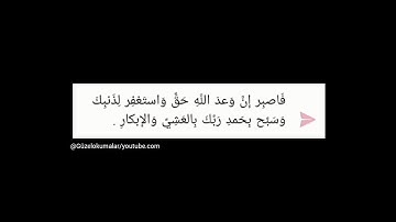 🖇️فاصبر إن وعد الله حق واستغفر لذنبك وسبح بحمد ربك بالعشي والإبكار  | سورة غافر أية ٥٥