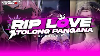 DJ VIRAL TIKTOK 2024 | DJ RIP LOVE X MASHUP TOLONG PANGANA BA JAUH STYLE MENGKANE by DJ WANGHAN