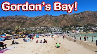 S1 - Ep 257 - Gordon’s Bay - A Beautiful Harbour Town in False Bay!